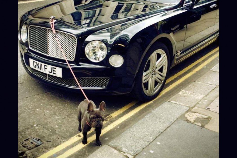 Το σήμα της Bentley χρησιμεύει για το δέσιμο σκύλου!