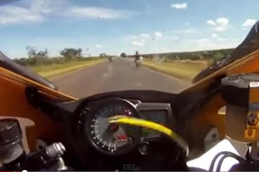 Φίδι εμφανίζεται σε μοτοσυκλέτα στα 260 χλμ./ώρα (video)