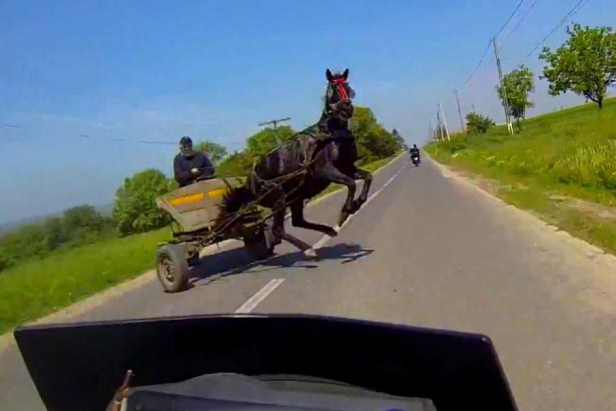 Μοτοσικλετίστρια γλιτώνει από φοβισμένο άλογο (video)