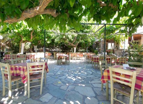 Ταβέρνα «Tο στέκι του Ανδρέα» στην Άνδρο