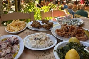 to-steki-tou-andrea-andros-6