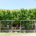 to-steki-tou-andrea-andros-7