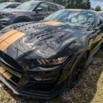 shelby gt500 hertz