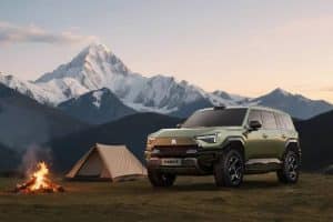 Dongfeng-M-Hero-Warrior-M817-10 (1)