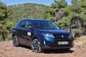 Suzuki Vitara 1.4 Boosterjet 110 hp 4WD (18)
