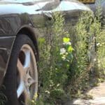abandoned porsche 911 04