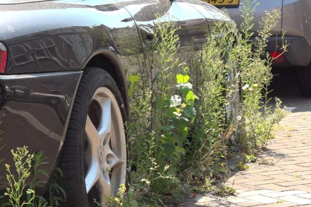 https://cdn.autogreeknews.gr/wp-content/uploads/2025/09/abandoned-porsche-911-04.jpg