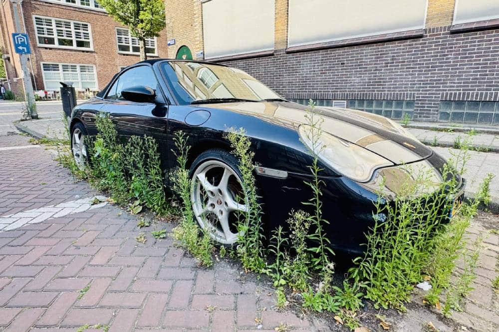 Παρατημένη Porsche 911 μαζεύει χόρτα στο δρόμο (+video)