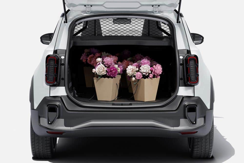 Τόσο ωραίο van είχαμε χρόνια να δούμε