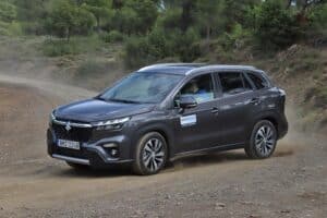 Suzuki S-Cross 1.4 Boosterjet 110 hp 4WD auto (10)