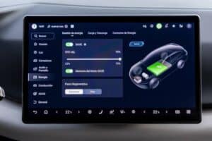 New BYD Atto 2 DM-i (7)