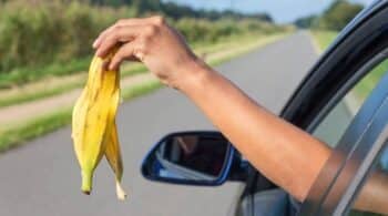 Αφαίρεση άδειας & 300 ευρώ πρόστιμο για σκουπίδια από το αμάξι