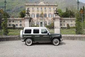 carlex_italy_fern_finalls