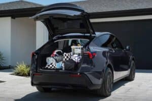 tesla model y standard (4)