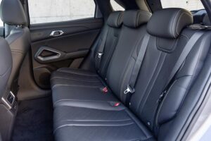 BYD-ATTO-2-Comfort (5)