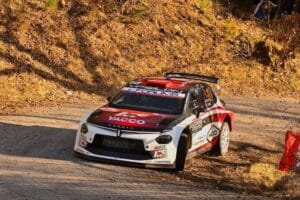 lancia ypsilon integrale monte carlo