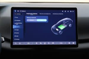 BYD ATTO 2 Comfort interior (10)