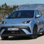 BYD Dolphin Surf (6)