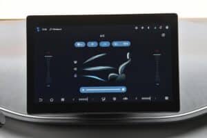 BYD Dolphin Surf interior (13)