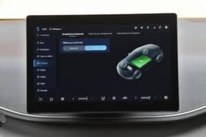 BYD Dolphin Surf interior (8)