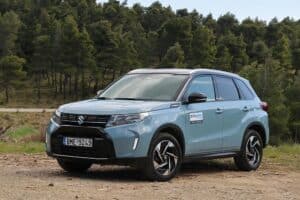 Suzuki Vitara 1.4 110 hp 6AT 4WD (25)