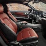 ford mustang tld edition (3)