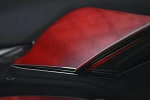 BMW-M2-S-1000-RR (6)