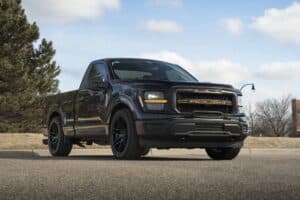 ford f-150 nitemare my26 (1)