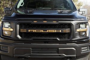 ford f-150 nitemare my26 (4)