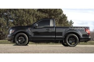 ford f-150 nitemare my26 (5)