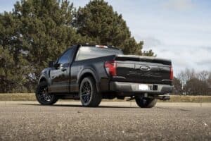 ford f-150 nitemare my26 (6)