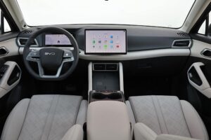 BYD ATTO 2 DM-i (19)