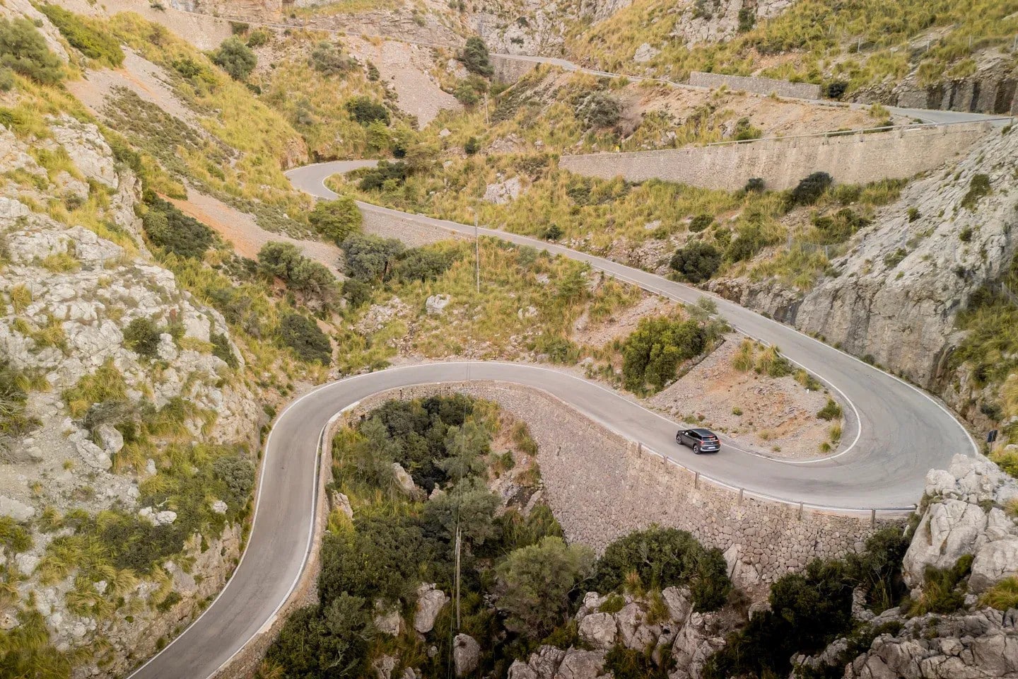 https://cdn.autogreeknews.gr/wp-content/uploads/2026/06/Ford-European-Roads.jpg