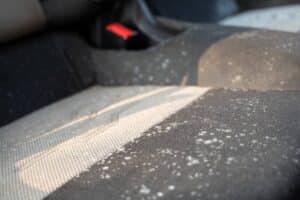 mold in the car 02