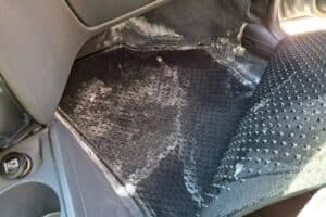 mold in the car 03