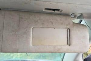 mold in the car 04