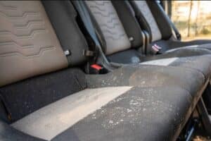 mold in the car 06