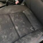 mold in the car