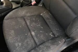 mold in the car