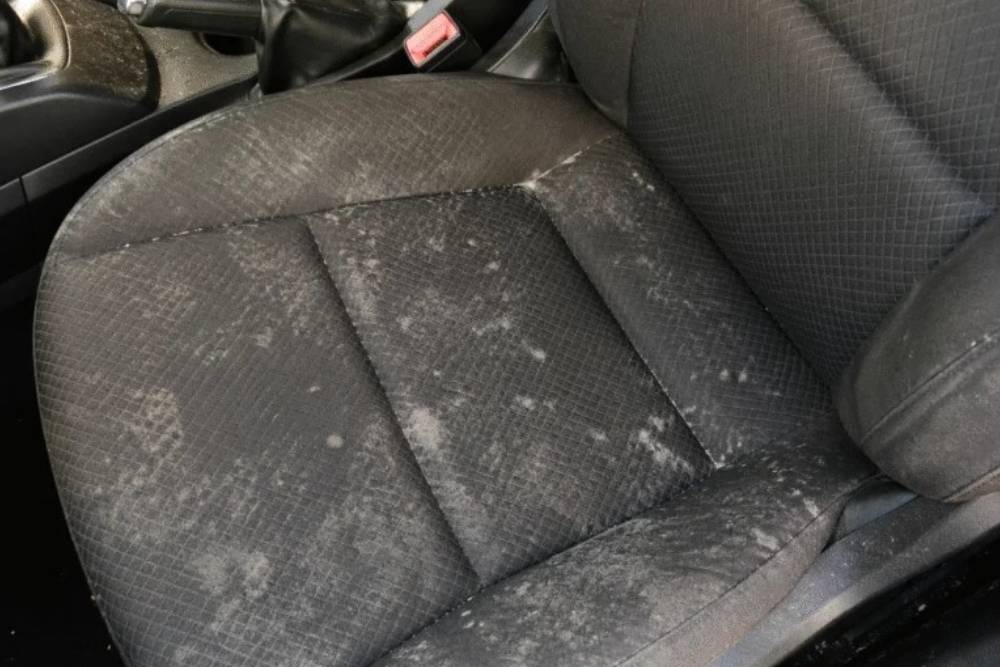 https://cdn.autogreeknews.gr/wp-content/uploads/2026/06/mold-in-the-car.jpg