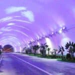 tree tunnel 02