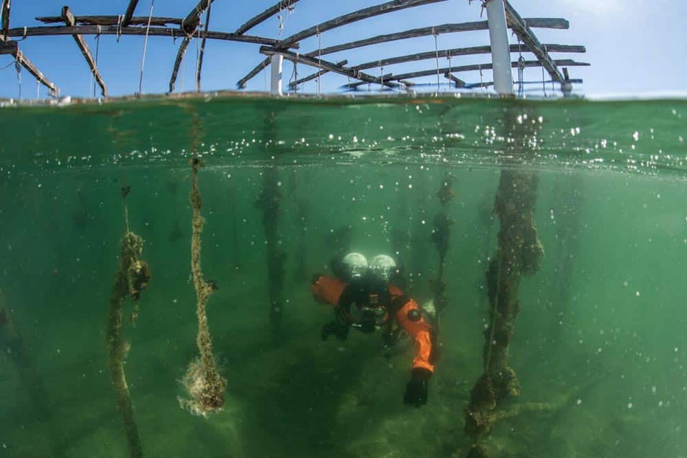 https://cdn.autogreeknews.gr/wp-content/uploads/2026/08/Healthy-Seas-3.jpg