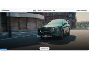 Lepas-website4