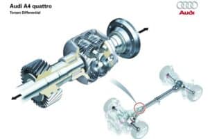 differential 02