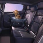 Renault-Scenic-2026-4