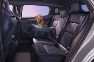 Renault-Scenic-2026-4