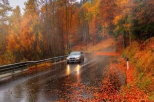 autumn first rain