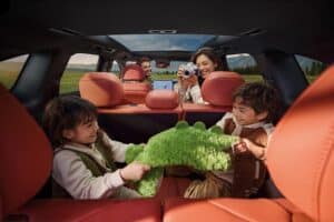 BYD-ATTO-8 (9)