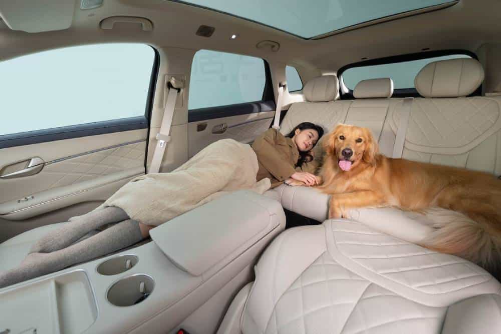 https://cdn.autogreeknews.gr/wp-content/uploads/2026/10/BYD-Tang-09.jpg