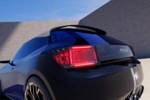 DS F3VER (6)